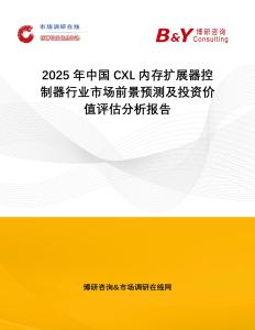 2025年中國CXL內(nèi)存擴展器控制器行業(yè)市場前景預測及投資價值評估分析報告