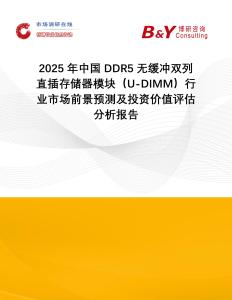 2025年中國DDR5無緩沖雙列直插存儲器模塊（U-DIMM）行業市場前景預測及投資價值評估分析報告