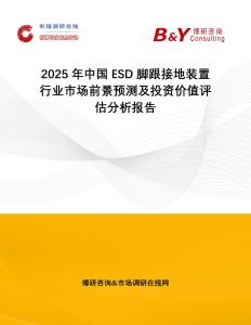2025年中國ESD腳跟接地裝置行業市場前景預測及投資價值評估分析報告