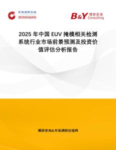 2025年中國EUV掩模相關(guān)檢測系統(tǒng)行業(yè)市場前景預(yù)測及投資價(jià)值評估分析報(bào)告