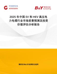 2025年中國EV和HEV高壓電力電纜行業(yè)市場前景預(yù)測及投資價(jià)值評(píng)估分析報(bào)告
