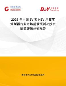 2025年中國EV和HEV用高壓熔斷器行業市場前景預測及投資價值評估分析報告
