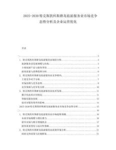 2025-2030特克斯凱科斯群島旅游服務(wù)業(yè)市場(chǎng)競爭態(tài)勢(shì)分析及企業(yè)運(yùn)營優(yōu)化