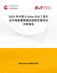 2025年中國G Suite辦公工具行業市場前景預測及投資價值評估分析報告