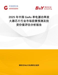 2025年中國GaAs單電源功率放大器芯片行業市場前景預測及投資價值評估分析報告