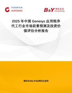 2025年中國Genesys應用程序代工行業市場前景預測及投資價值評估分析報告
