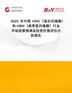 2025年中國HMC（混合存儲器）和HBM（高帶寬存儲器）行業(yè)市場前景預測及投資價值評估分析報告