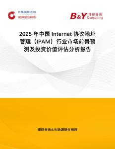2025年中國Internet協(xié)議地址管理（IPAM）行業(yè)市場前景預(yù)測及投資價值評估分析報告