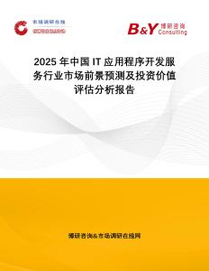 2025年中國IT應(yīng)用程序開發(fā)服務(wù)行業(yè)市場前景預(yù)測及投資價值評估分析報告
