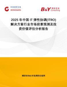 2025年中國IT彈性協(xié)調(diào)(ITRO)解決方案行業(yè)市場前景預(yù)測及投資價值評估分析報告
