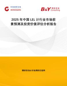 2025年中國LEL計(jì)行業(yè)市場前景預(yù)測及投資價(jià)值評估分析報(bào)告
