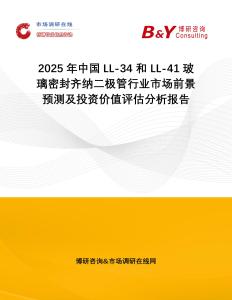 2025年中國LL-34 和 LL-41 玻璃密封齊納二極管行業(yè)市場前景預測及投資價值評估分析報告