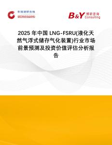 2025年中國LNG-FSRU(液化天然氣浮式儲存氣化裝置)行業市場前景預測及投資價值評估分析報告