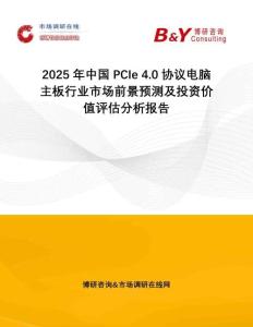 2025年中國PCIe 4.0協議電腦主板行業市場前景預測及投資價值評估分析報告