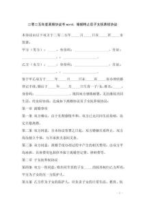 二零二五年度離婚協議書word，婚姻終止后子女撫養權協議