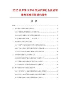 2025及未來5年中國加長篩行業投資前景及策略咨詢研究報告