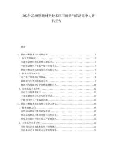 2025-2030鐵磁材料技術應用前景與市場競爭力評估報告