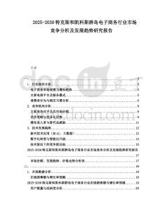 2025-2030特克斯和凱科斯群島電子商務(wù)行業(yè)市場(chǎng)競爭分析及發(fā)展趨勢(shì)研究報(bào)告