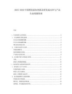 2025-2030中國漂洗添加劑新品研發成功率與產品生命周期管理