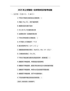 2025年上學(xué)期高一化學(xué)同伴互評參考試題