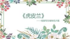 《虎皮蘭》美術教育PPT繪畫課件創意教程教案