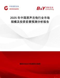 2025年中國(guó)原聲吉他行業(yè)市場(chǎng)規(guī)模及投資前景預(yù)測(cè)分析報(bào)告
