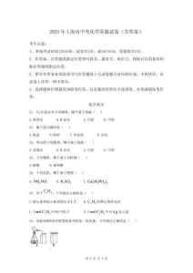 2025年上海市中考化學真題試卷（含答案）