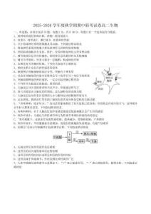 江蘇省無錫市江陰市六校聯考2025-2026學年高二上學期11月期中生物試卷（含答案）