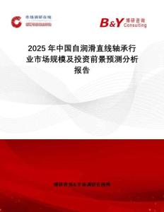 2025年中國自潤滑直線軸承行業市場規模及投資前景預測分析報告