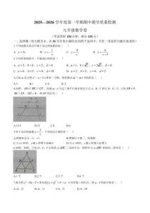 廣西壯族自治區北海市合浦縣2026屆九年級上學期11月期中考試數學試卷（含答案）