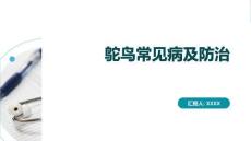 鴕鳥常見病的防治