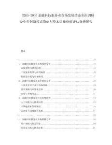 2025-2030金融科技服務(wù)業(yè)市場發(fā)展動態(tài)全面調(diào)研及業(yè)務(wù)創(chuàng)新模式影響與資本運作價值評估分析報告