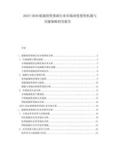 2025-2030能源投資基礎(chǔ)行業(yè)市場(chǎng)深度投資機(jī)遇與關(guān)鍵策略研究報(bào)告