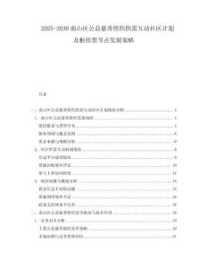 2025-2030南山區公益慈善組織供需互動社區計劃及樞紐型節點發展策略