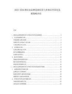 2025-2030酒店業(yè)品牌連鎖經(jīng)營與單體店差異化發(fā)展策略評估