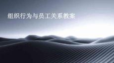 組織行為與員工關系教案