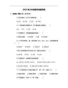 2025年小升初数学试题范例