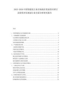 2025-2030中国智能化行业市场现在需求供应研订及投资评估规划行业全面分析研究报告