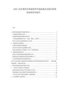 2025-2030摩洛哥基建投資環(huán)境監(jiān)測及風(fēng)險控制規(guī)劃深度研究報告