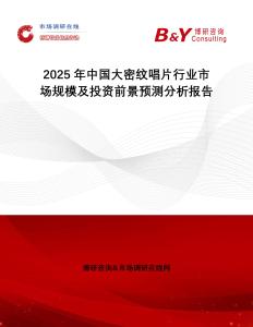 2025年中國大密紋唱片行業市場規模及投資前景預測分析報告
