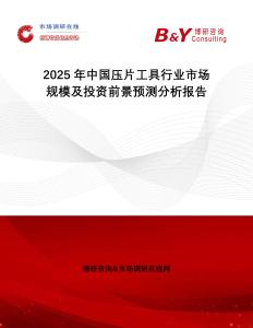 2025年中國壓片工具行業市場規模及投資前景預測分析報告