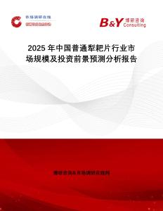 2025年中國普通犁耙片行業市場規模及投資前景預測分析報告