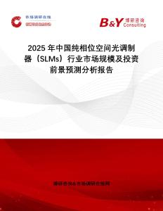 2025年中國純相位空間光調制器（SLMs）行業市場規模及投資前景預測分析報告