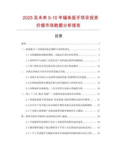 2025及未來5-10年輻條扳手項目投資價值市場數據分析報告