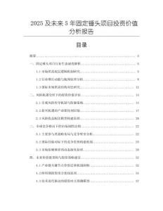 2025及未來5年固定錘頭項目投資價值分析報告
