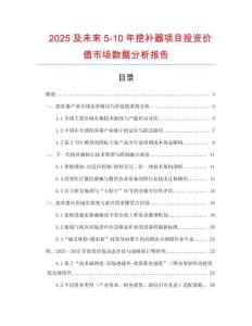 2025及未來5-10年挖補器項目投資價值市場數據分析報告
