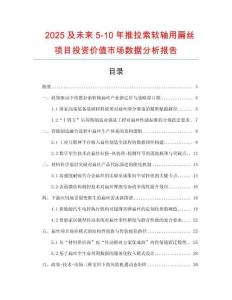 2025及未來5-10年推拉索軟軸用扁絲項(xiàng)目投資價值市場數(shù)據(jù)分析報告