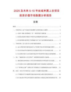 2025及未來5-10年絲絨單肩上衣項目投資價值市場數據分析報告