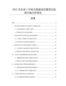 2025及未來5年筆式高溫電灼器項目投資價值分析報告