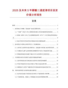 2025及未來5年醇酸二道底漆項目投資價值分析報告